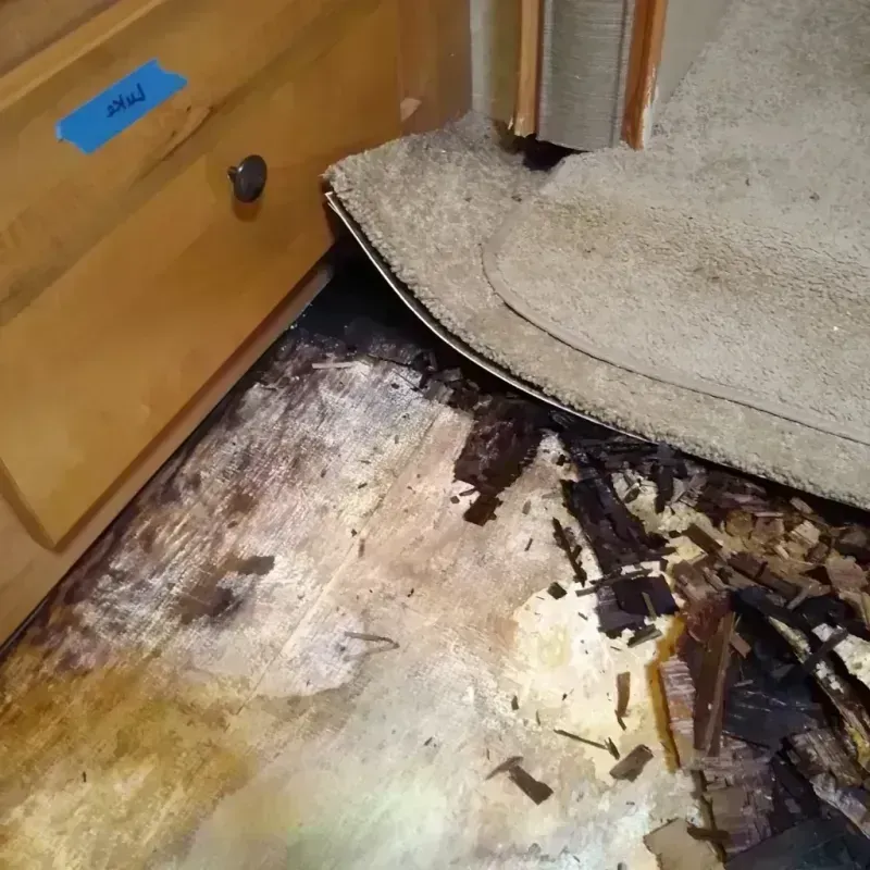 Wood Floor Water Damage in Lasara, TX